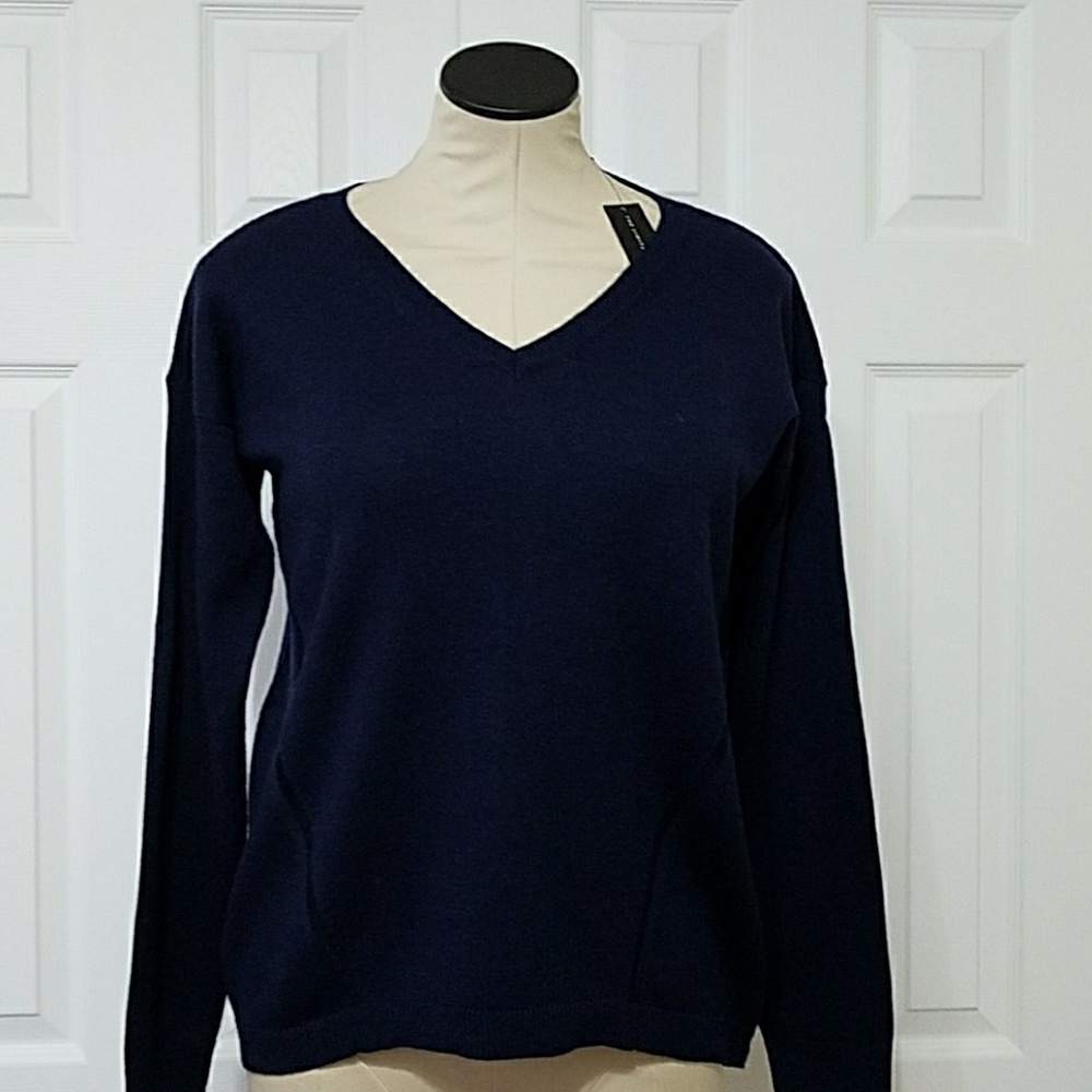 The Limited sweater